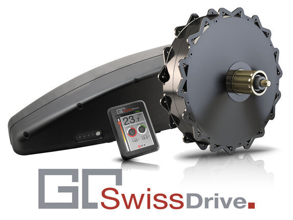 GO SWISS DRIVE